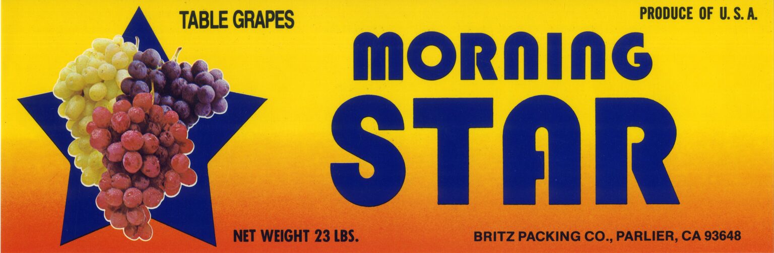 Morning Star Morning Star